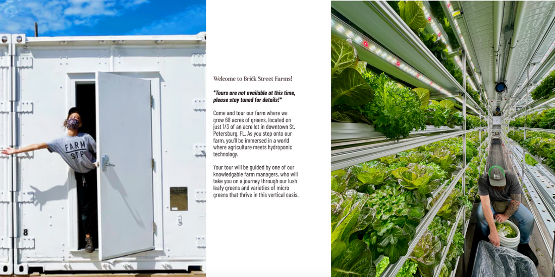 Brick Street Farms：新一代的貨櫃農場，顛覆傳統農業模式